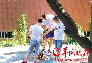 最新汕头爆料事件新闻,事件真相及影响深度解析 第3张 最新汕头爆料事件新闻,事件真相及影响深度解析 第3张