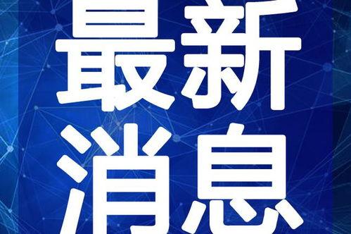 重庆民宿爆料视频最新,揭秘隐藏在城市角落的隐秘居所