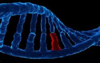 dna 在线观看,在线观看揭示生命密码之旅