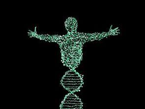 dna 在线观看,在线观看揭示生命密码之旅 第3张 dna 在线观看,在线观看揭示生命密码之旅 第3张